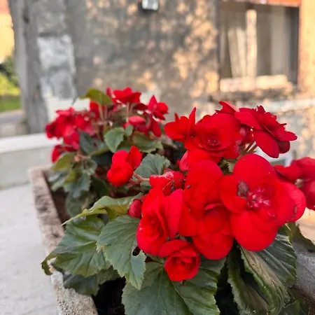 Appartement Love Apartmán *